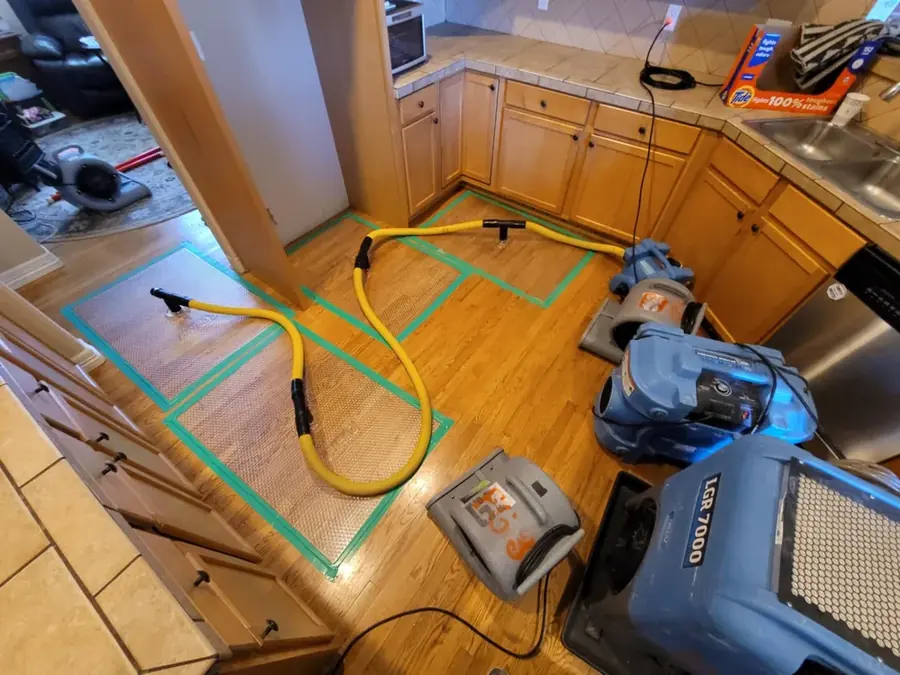 Standing water extracted from a Colorado Springs floor