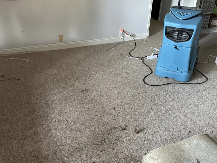 Wet carpet and pad pulled from a Colorado Springs basement