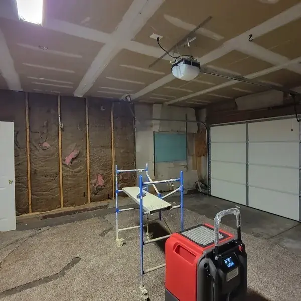 Studs exposed and dried after water damage in Colorado Springs