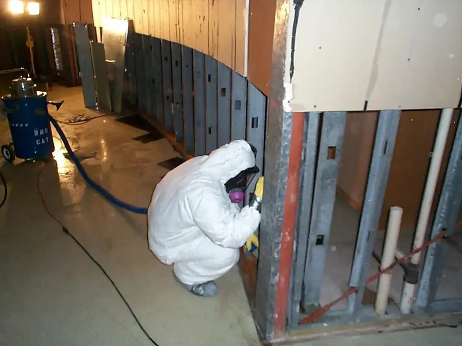 Mold growth checked in the corner of a Colorado Springs basement