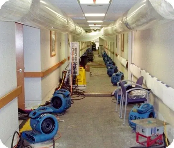 Air movers and dehumidifiers drying a Colorado Springs room
